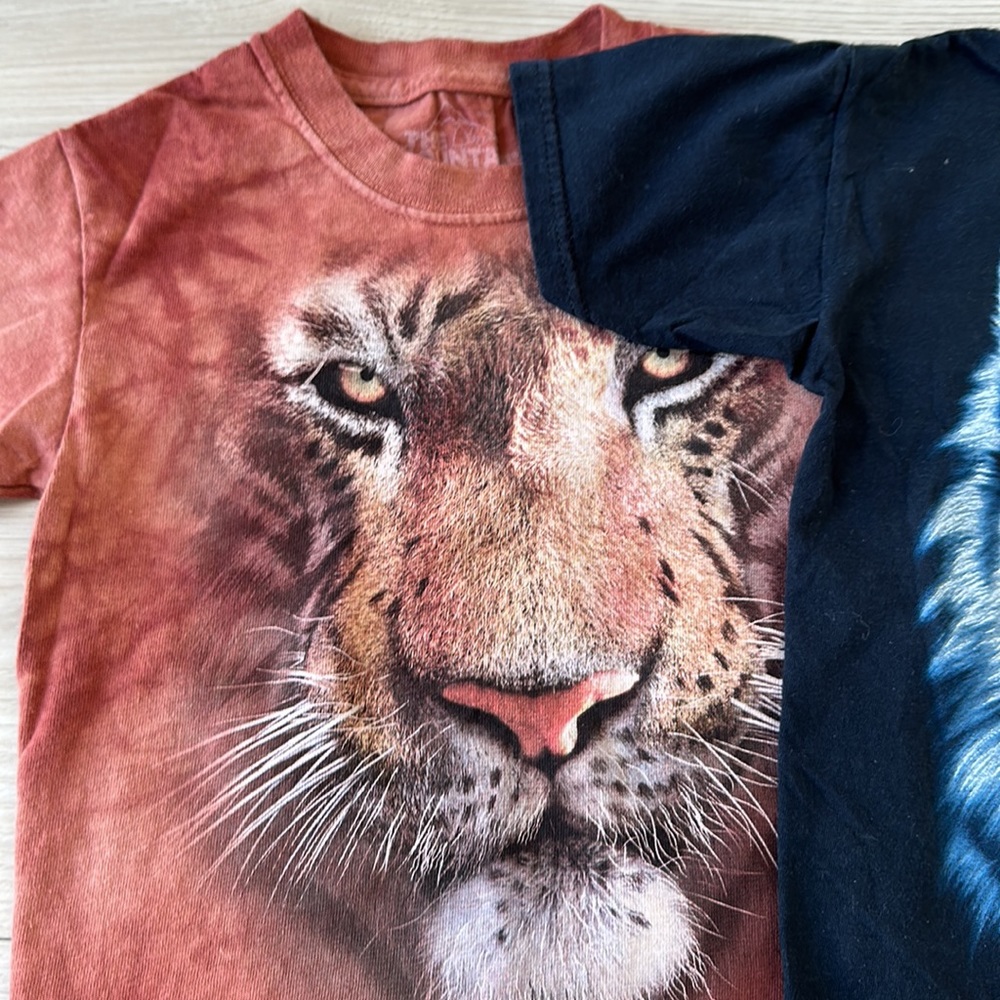 Bundle of 2 100% cotton size S boy Tees - Picture 2 of 8